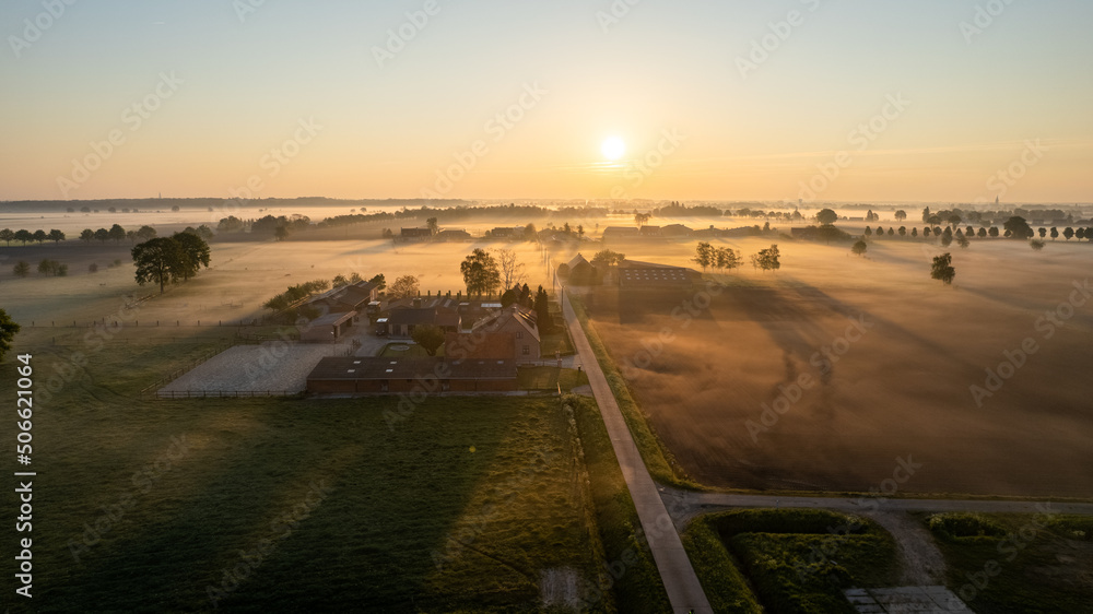 Fototapeta premium Aerial Drone Shot of a beautiful Green and Yellow Agricultural Plantations Bordering with Wild Forests in Belgium, Europe with the golden rays of sun creating a magical blanket over the green