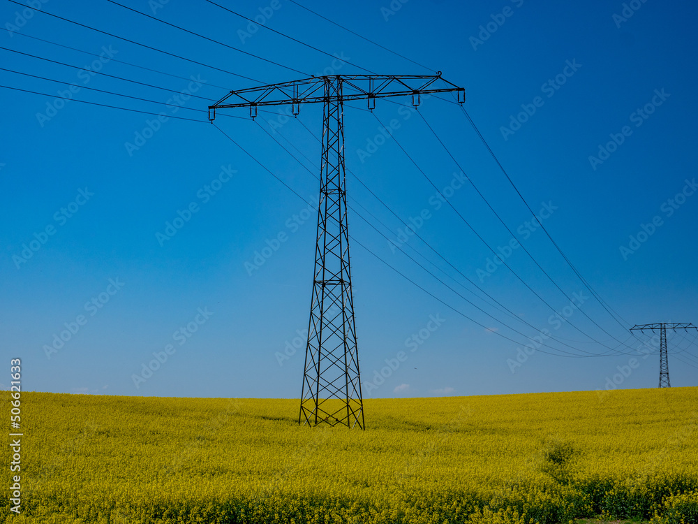 Strommast auf einen blühenden Rapsfeld
