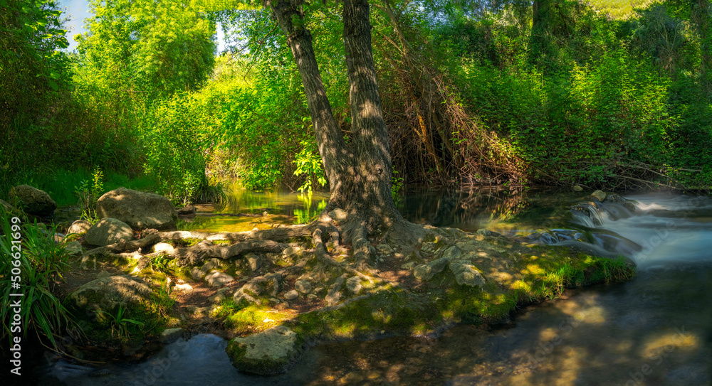 Natural environment of the Majaceite river, between the towns of El Bosque and Benamahoma, Cadiz. Natural environment of the Majaceite river, between the towns of El Bosque and Benamahoma, Cadiz.