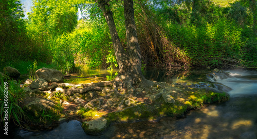Natural environment of the Majaceite river  between the towns of El Bosque and Benamahoma  Cadiz.
