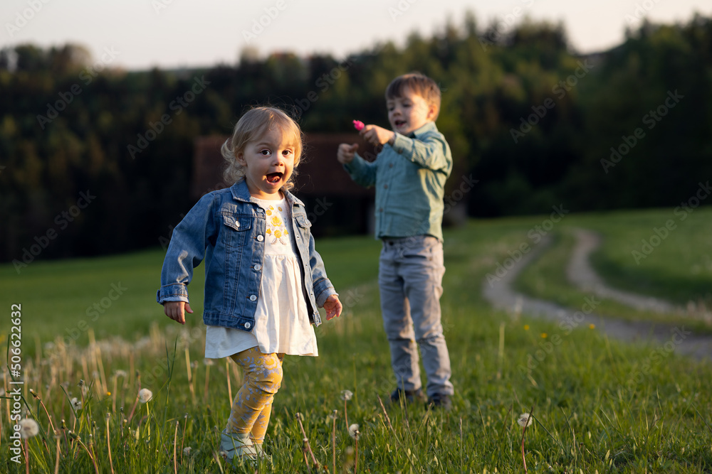 Fototapeta premium Little brother and sister playing in the meadow