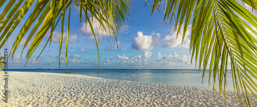 Fototapeta Naklejka Na Ścianę i Meble -  Sunny tropical beach with palm tree leaves and turquoise water, island vacation, summer travel. Paradise island concept, panoramic nature landscape banner. Idyllic relaxing colors, tranquil vacation