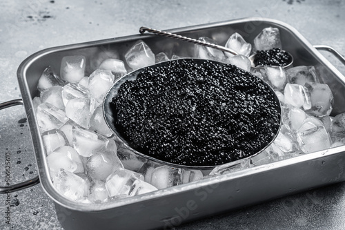Beluga Black caviar in glass jar on ice. Gray background. Top view