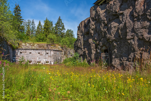 Blooming meadow in the moat to Vaberget fortress in Sweden