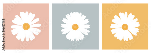 Set of daisies vector illustration. Flower wall decoration.
