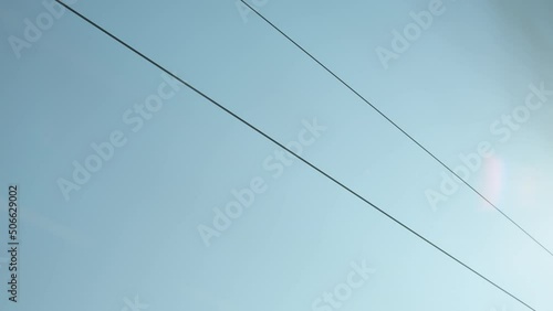 Moving catenary wire of the railway in europe with blue sky and trees moving past in the background.