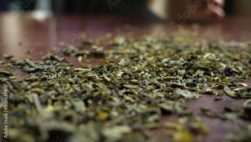 A rain of green tea