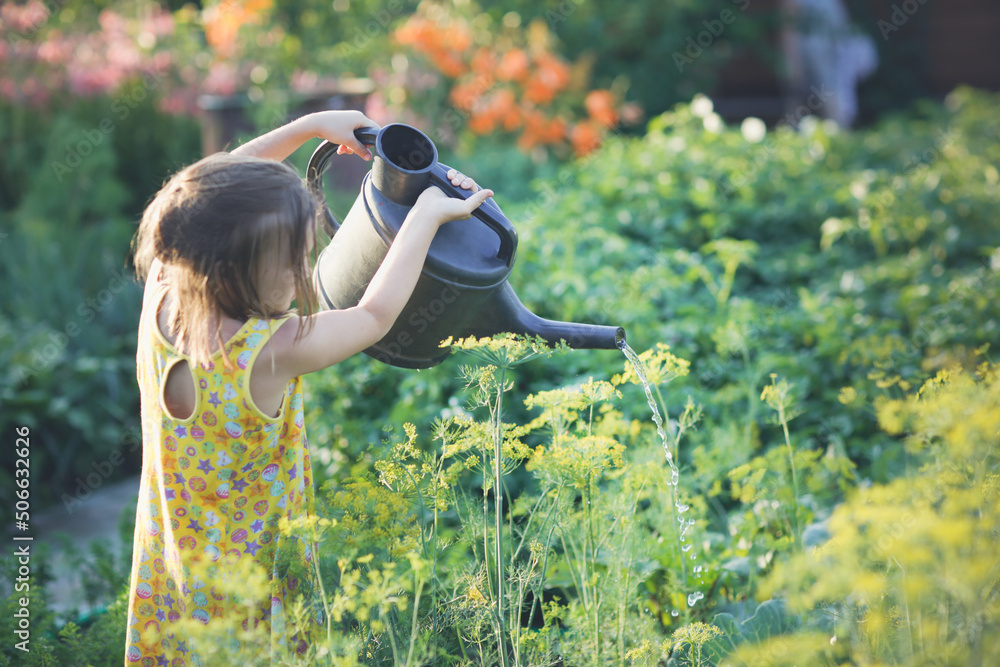 cute kid girl with big watering can waters beds in garden in summer