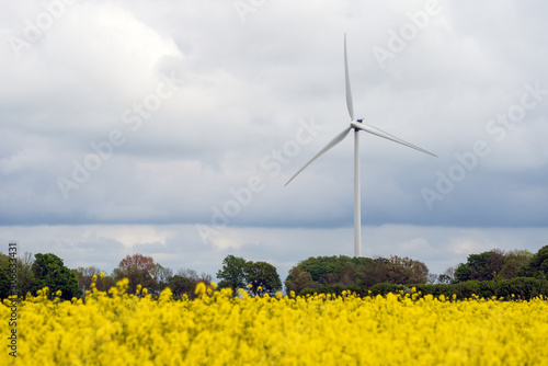 Wind turbine with dramatic sky and canola field on the Swedish countryside in Skane, Sweden. Selective focus. © PhotosbyPatrick