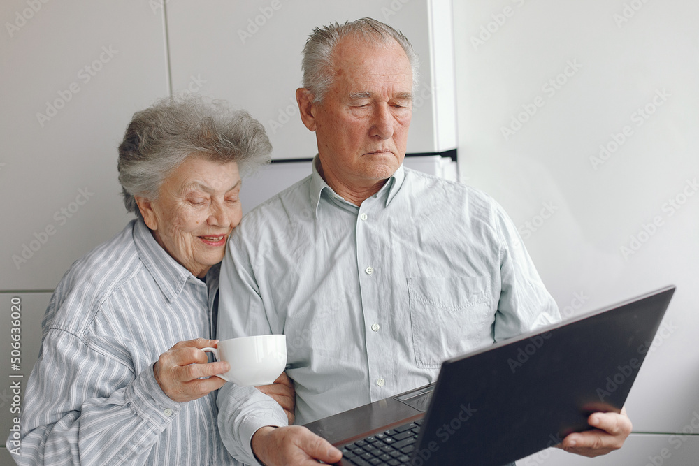 Elegant old couple at home using a laptop Elegant old couple at home using a laptop