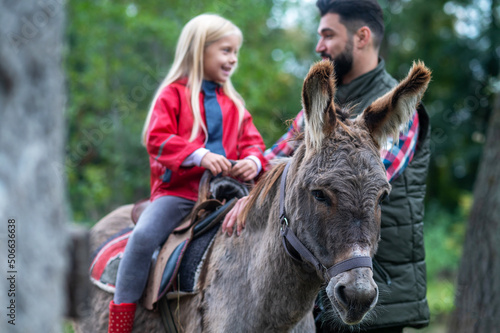 A cute blonde girl riding a donkey on a farm, her dad helping her