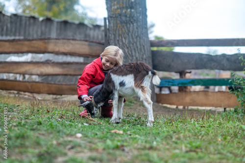 A blonde cute girl playing with a goat on farm