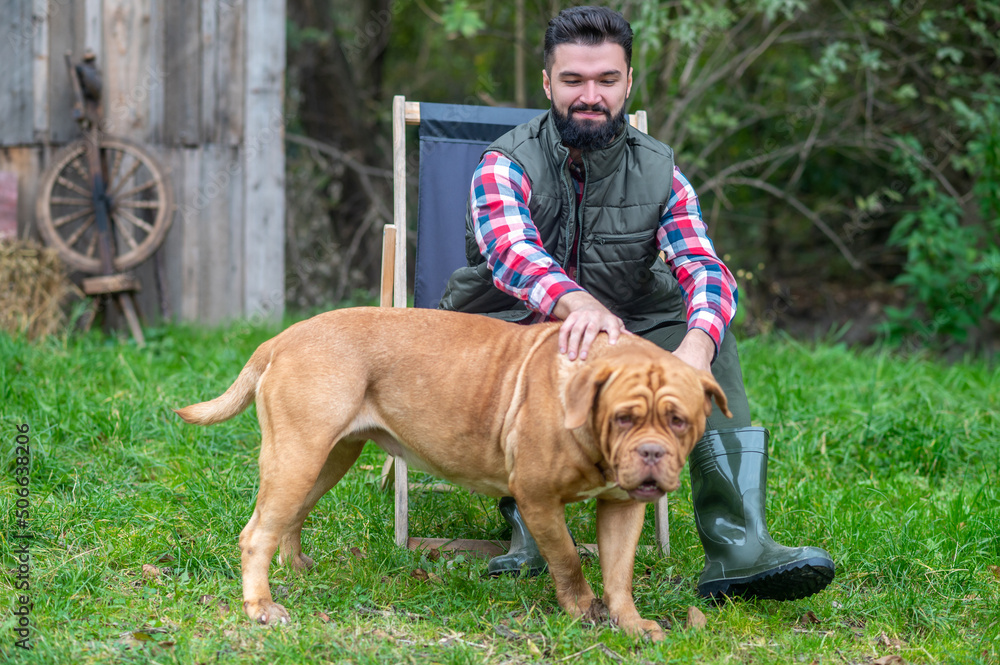 A dark-haired young man with a sharpei dog in the yard A dark-haired young man with a sharpei dog in the yard