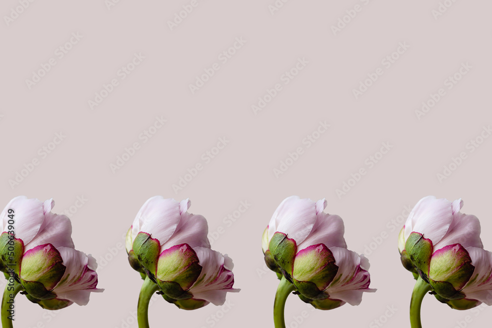 Fototapeta premium Many pink peony flower with green leaves on pink spring background seamless pattern. Repetition and levitation botany floral wallpaper or greeting card. Nature design idea concept.