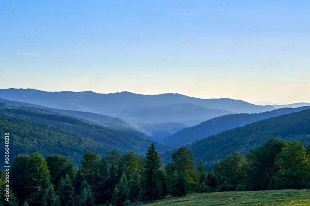 Twilight forest landscape in mountains