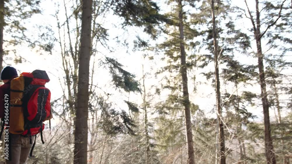 A tourist with a large backpack walks in the woods A tourist with a large backpack walks in the woods