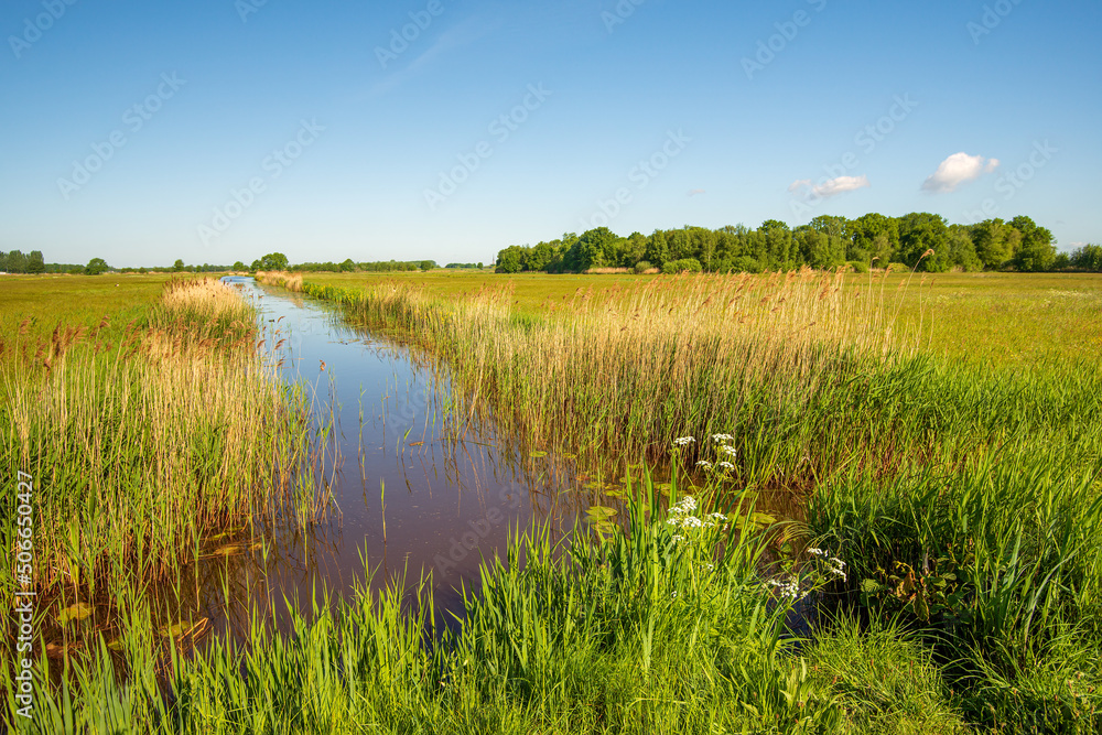 Lange ditch in a polder landscape in the Dutch province of North Brabant. It is a sunny day at the beginning of the spring season.