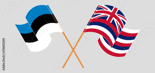 Crossed and waving flags of Estonia and The State Of Hawaii photo