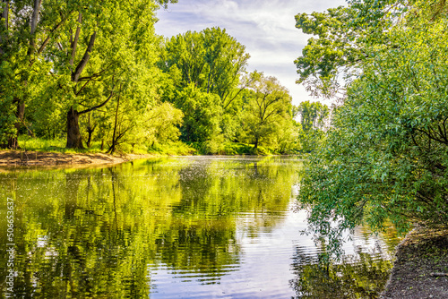 Siegauenlandschaft bei Bonn  Diescholl