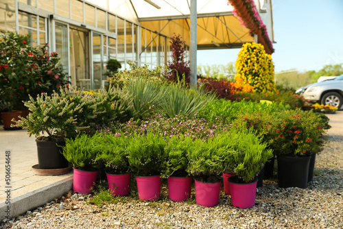 Canvas Print Many different potted plants near garden center