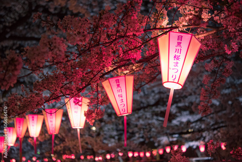 Illuminated lanterns at Meguro River Cherry Blossom Festival in Tokyo, Japan　目黒川桜まつりの夜景　夜桜と提灯