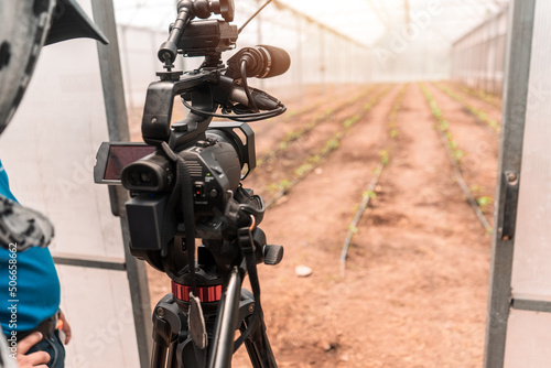 Fotografia, Obraz Cameraman recording video inside a greenhouse where plants grow for production