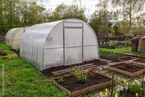 greenhouse in the garden. Two polycarbonate greenhouses in the garden in spring.