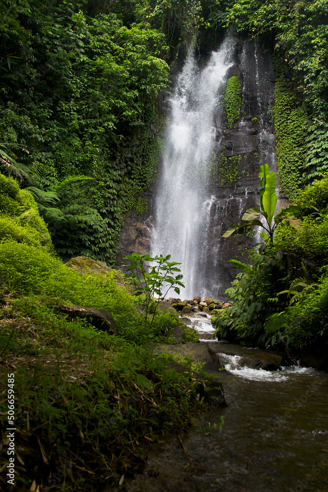 Obraz premium Wild tropical rainforest and pure high powerful waterfall with lush green foliage, moss, palm trees, shining water drops in sunbeams, creek, Bali jungle, vertical. Amazing trip in Indonesian paradise.
