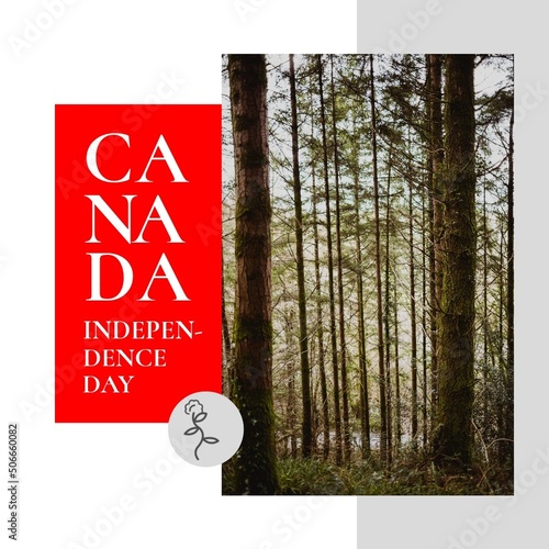 Digital composite image of canada independence day text and trees growing in forest, copy space