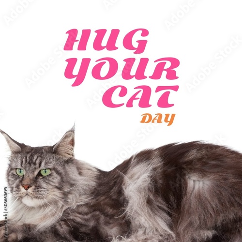Composite of hug your cat day text with hairy cat against white background, copy space
