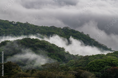 Forêt de Monteverde