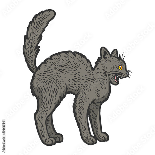 bristle reared scared black cat color sketch engraving vector illustration. T-shirt apparel print design. Scratch board imitation. Black and white hand drawn image.