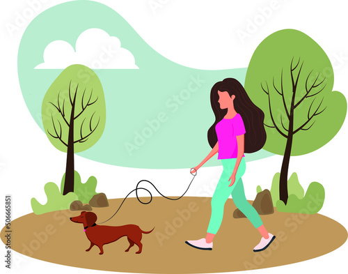 High quality vector illustration. The girl walks with the dog. Walk with a dachshund.