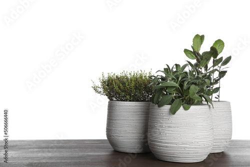 Pots with thyme  bay and sage on wooden table against white background