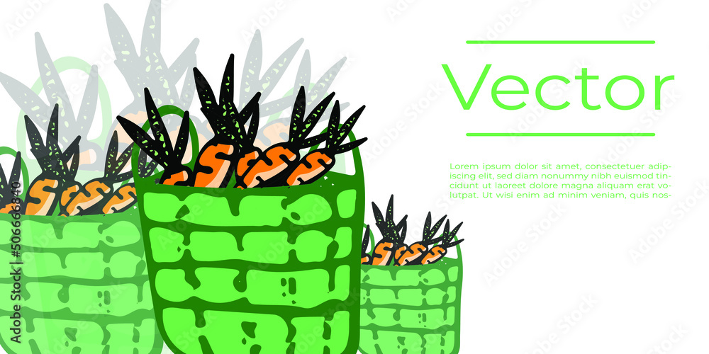 Obraz premium Bag of carrots organic food vector illustration. Healthy diet hand drawn background. Fresh veggies media banner