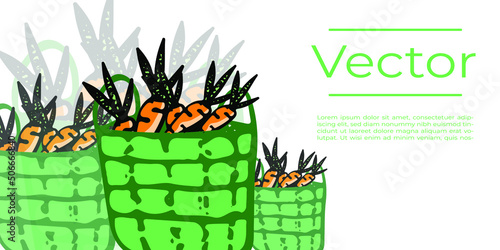 Bag of carrots organic food vector illustration. Healthy diet hand drawn background. Fresh veggies media banner