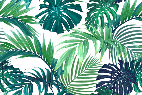 Seamless hand drawn tropical vector pattern with monstera palm leaves.
