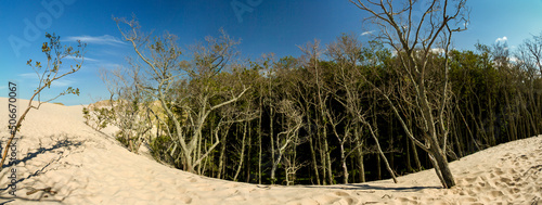 Polish famus dunes in Leba. 