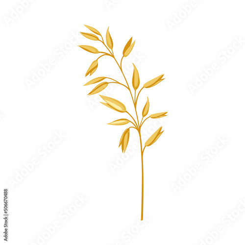 Oat Spikelet as Cereal Grain with Seeds for Oatmeal and Whole-grain Food Preparation Vector Illustration