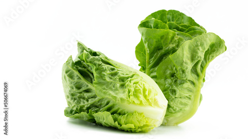 Fresh two Romaine or cos lettuce (Lactuca sativa L. var. longifolia) set in vertical and level flat isolated on white background, healthy eating vegetable concept, front view photo
