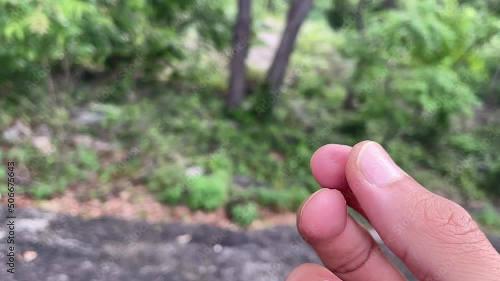 Monkey hand grabbing sweet gummy jelly ball from person’s hand close up outdoor nature view slow motion. Male hand feeding hungry monkey fingers touching food. Beautiful mountain forest landscape Monkey hand grabbing sweet gummy jelly ball from person’s hand close up outdoor nature view slow motion. Male hand feeding hungry monkey fingers touching food. Beautiful mountain forest landscape