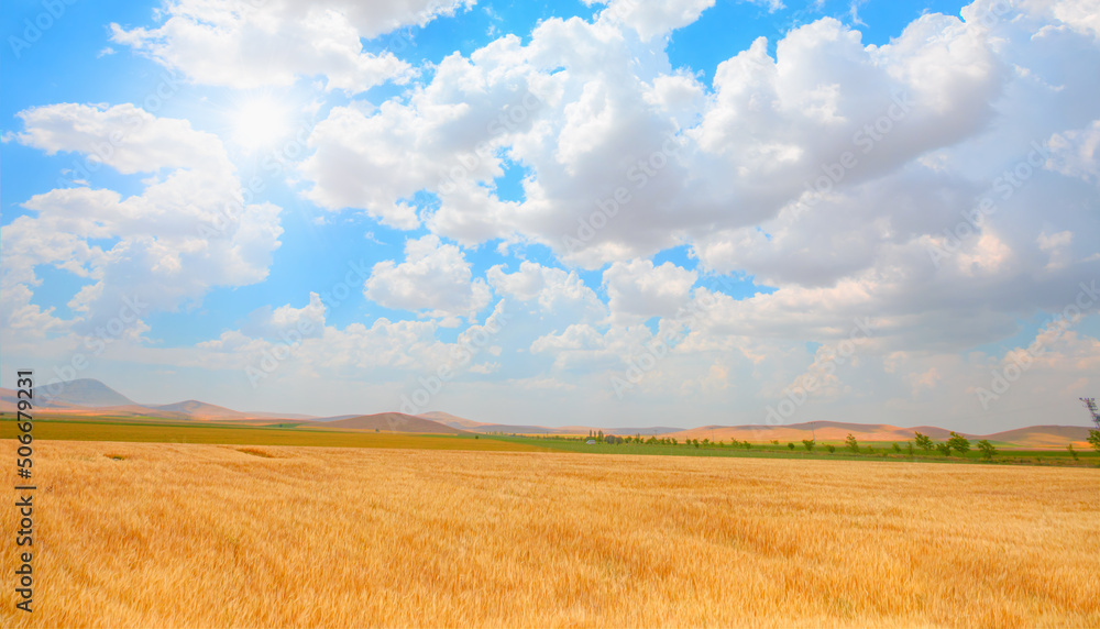 Beautiful summer landscape with wheat field Beautiful summer landscape with wheat field
