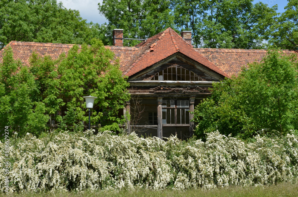Ruine - Orangerie - in Frühlingslandschaft Ruine - Orangerie - in Frühlingslandschaft