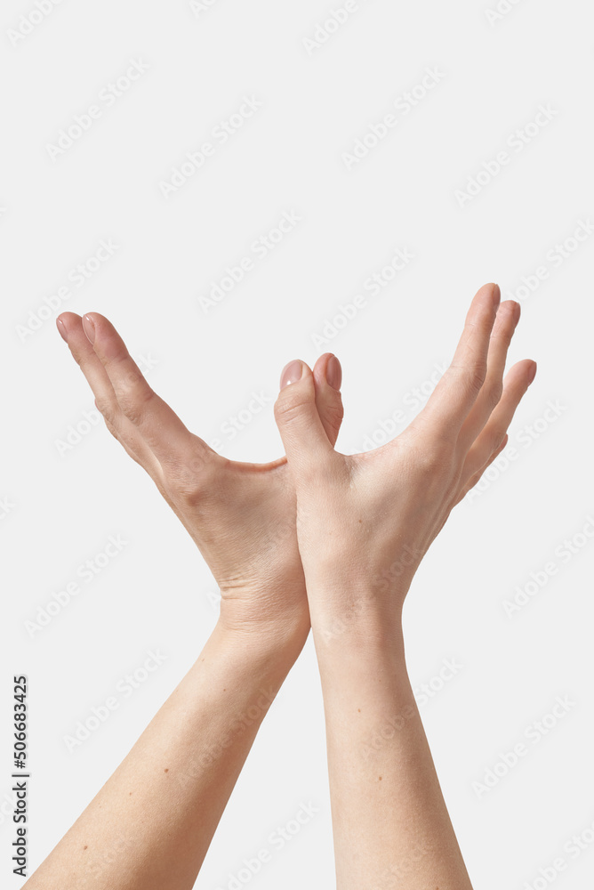 © artjazz - Outer hand bird gesture isolated on white