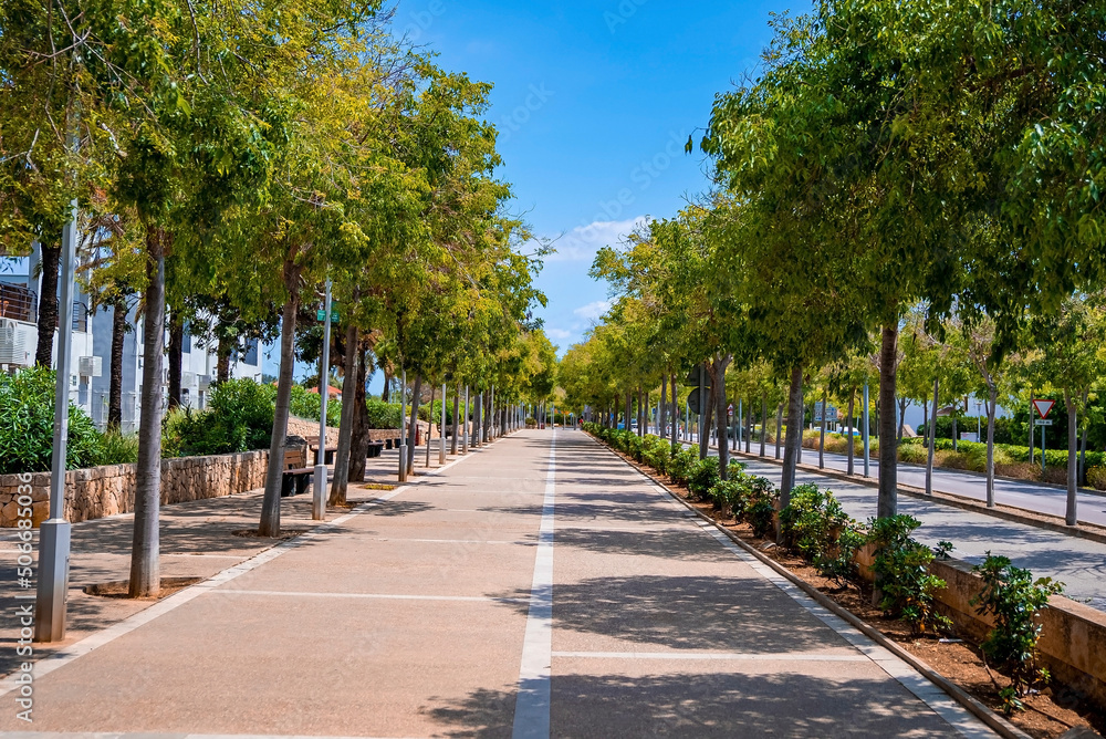 Empty road amidst row of trees. Diminishing pathway in city. Street with road markings amidst nature against blue sky during summer.