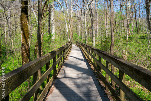 Boardwalk at Mammoth Cave National Park