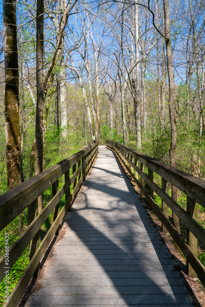 Boardwalk at Mammoth Cave National Park Boardwalk at Mammoth Cave National Park