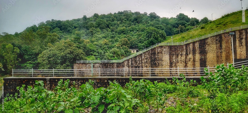 Greenery landscape near water dam