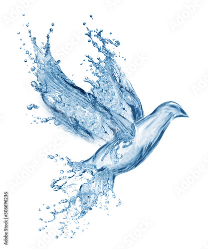 Fotografia Water formed a bird Bird on splashing water