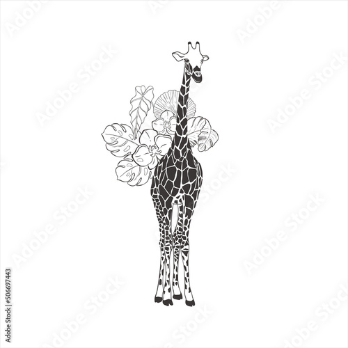 Giraffe with exotic flowers on white background.